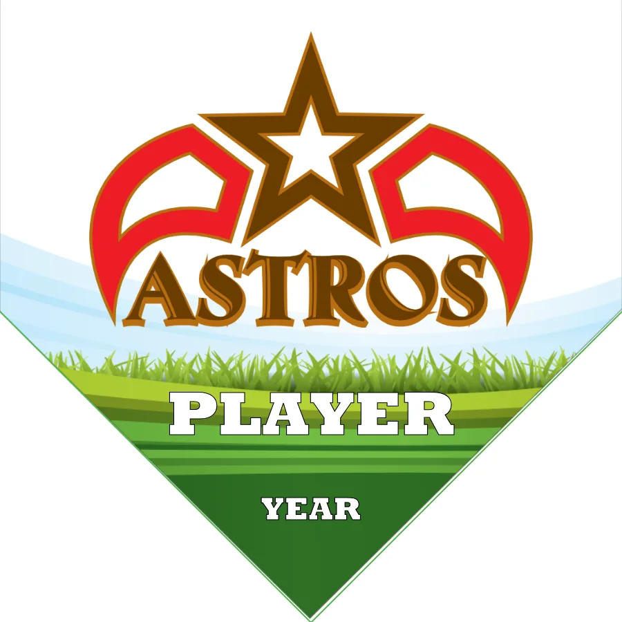 Astros Soccer Banner-how-to-make-a-soccer-banner-stand-picture