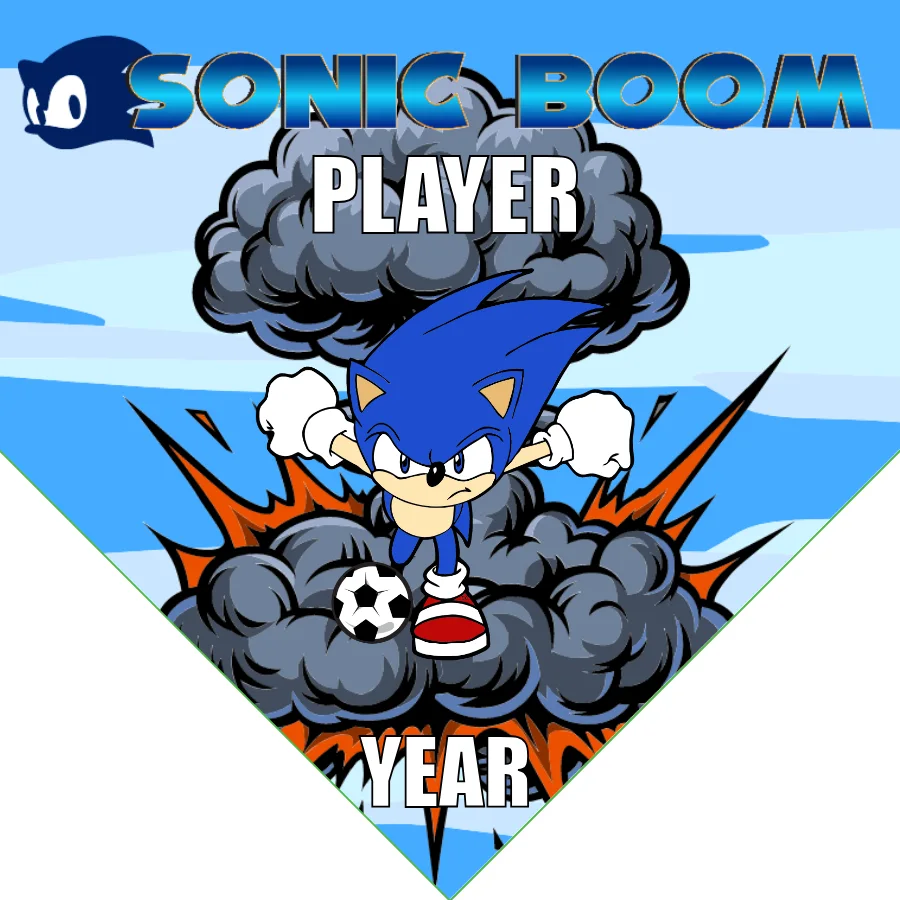 Sonic Boom Soccer Banner-soccer-banner-picture