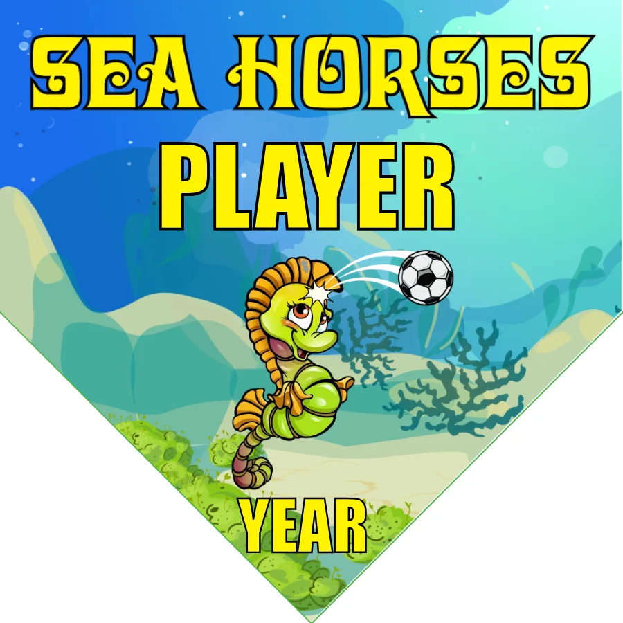 Sea Horses Soccer Banner-homemade-soccer-banner-ideas-picture