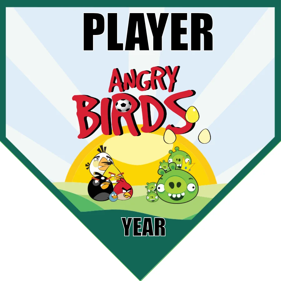 Angry Birds 2 Soccer Banner-soccer-banner-flags-picture
