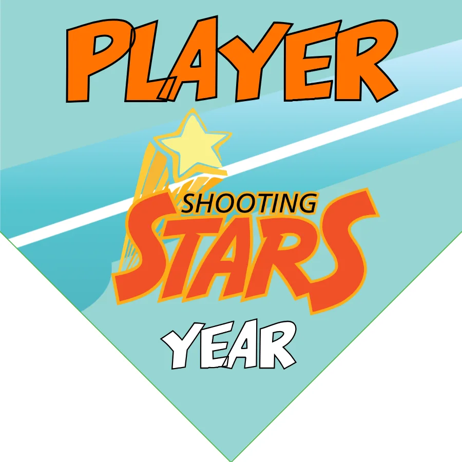 Shootingstar1 Softball Banner-travel-softball-banners-picture