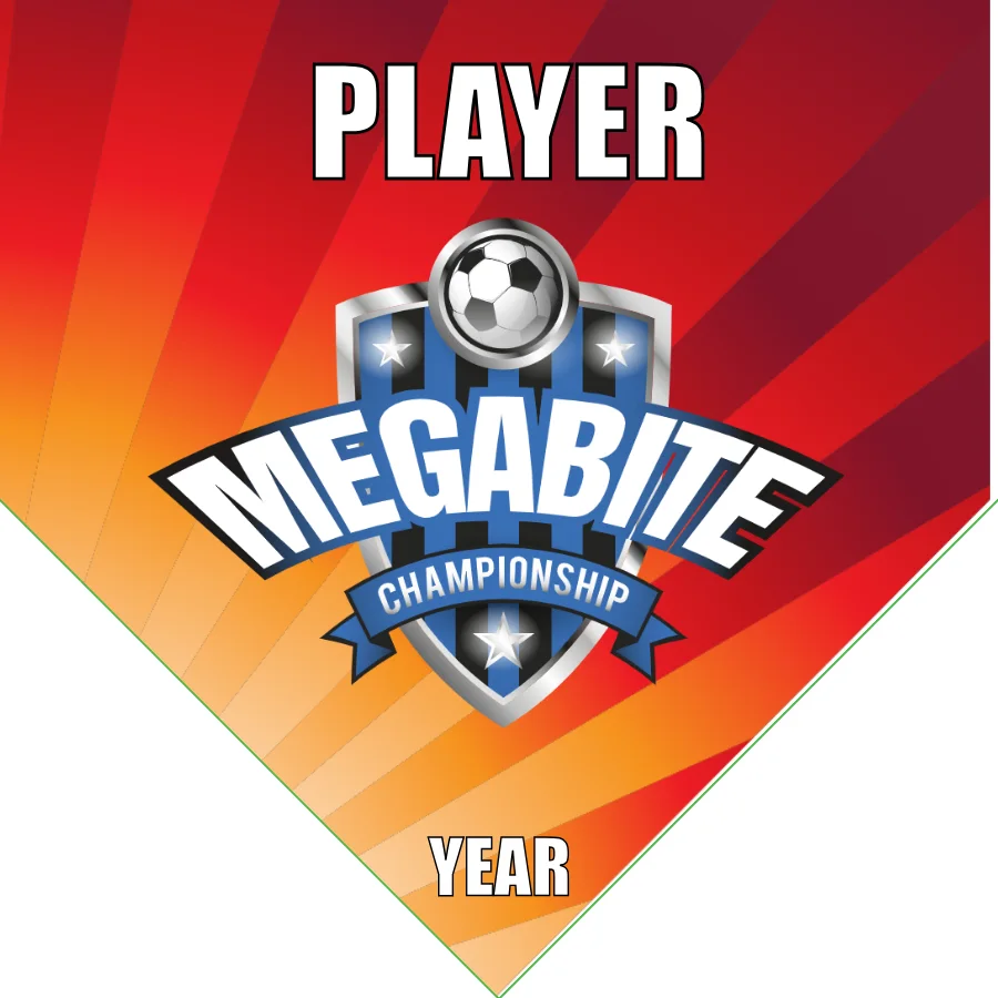 Megabite Soccer Banner-soccer-team-banner-picture