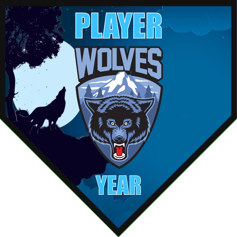 Wolves 2 Soccer Banner-soccer-banner-pole-kit-picture