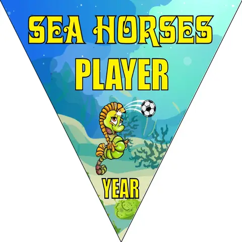 Sea Horses Soccer Banner-soccer-ball-banner-picture