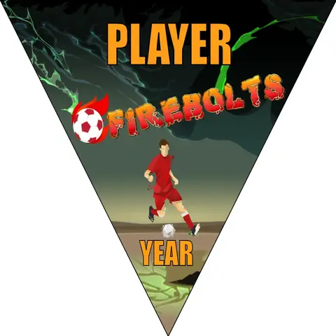 Firebolts 2 Soccer Banner-how-to-make-a-soccer-banner-stand-picture
