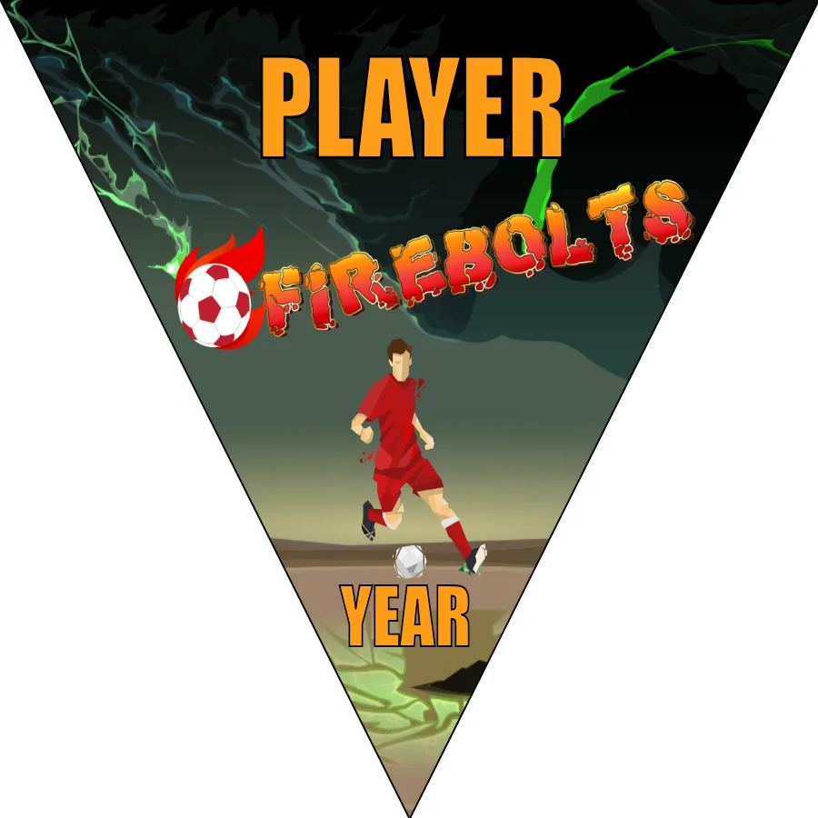 Firebolts 2 Soccer Banner-how-to-make-a-soccer-banner-stand-picture