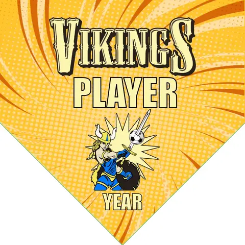 Vikings 2 Soccer Banner