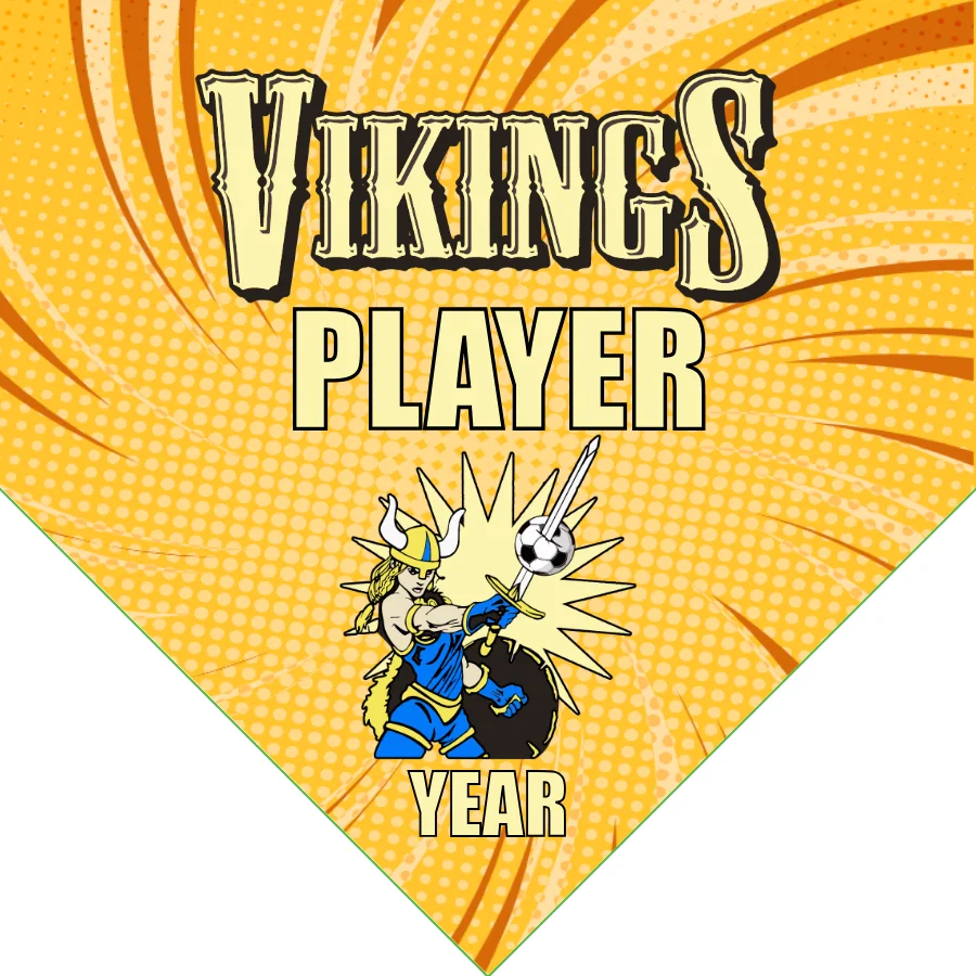 Vikings 2 Soccer Banner