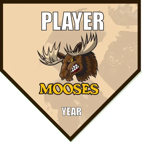 Mooses Soccer Banner-soccer-team-banners-picture