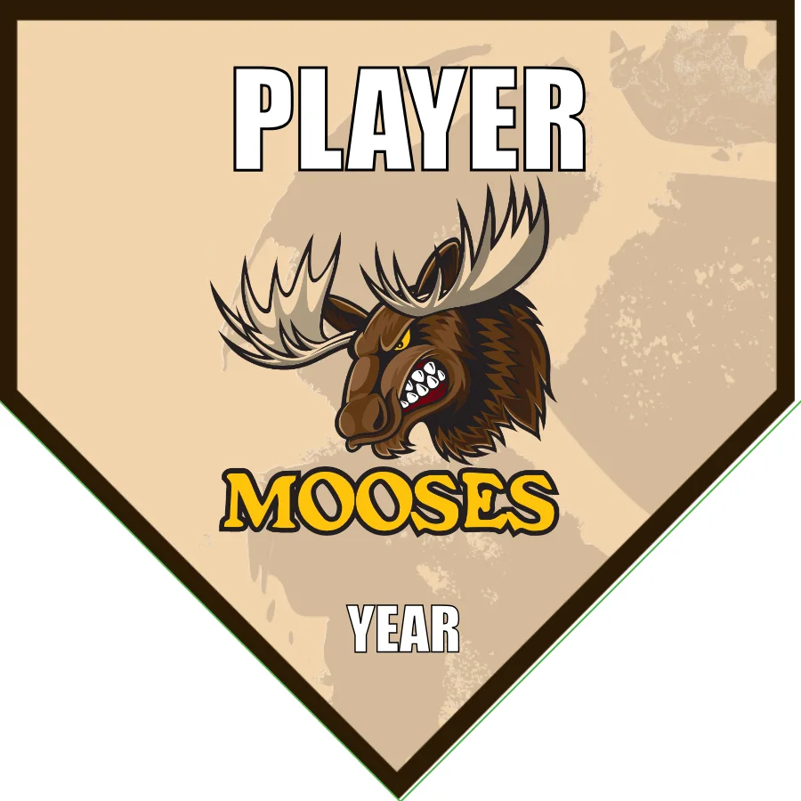 Mooses Soccer Banner-soccer-team-banners-picture