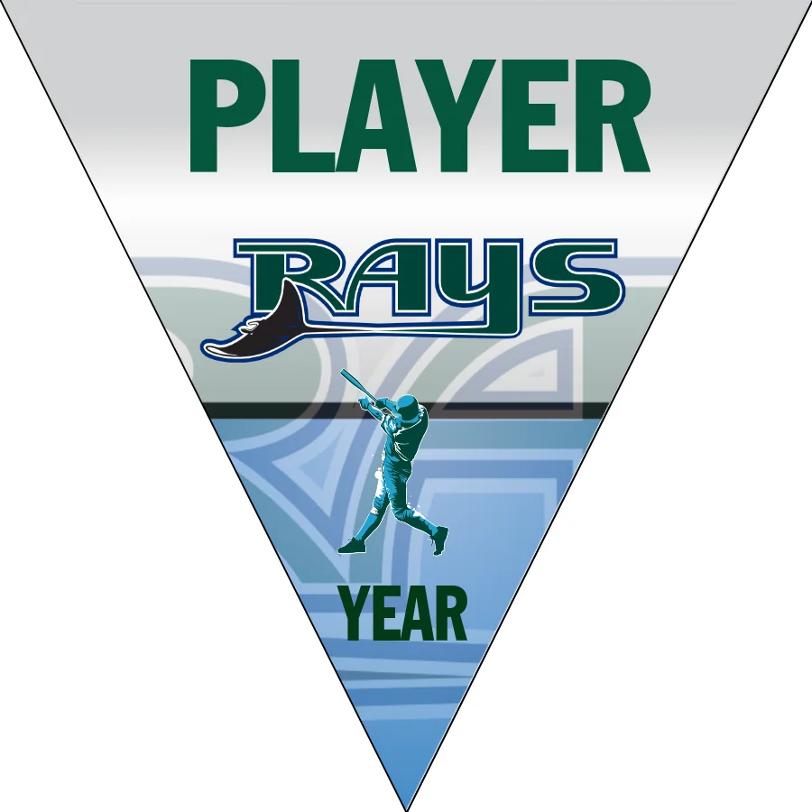 Rays Baseball Banner-ebay-baseball-banners-images