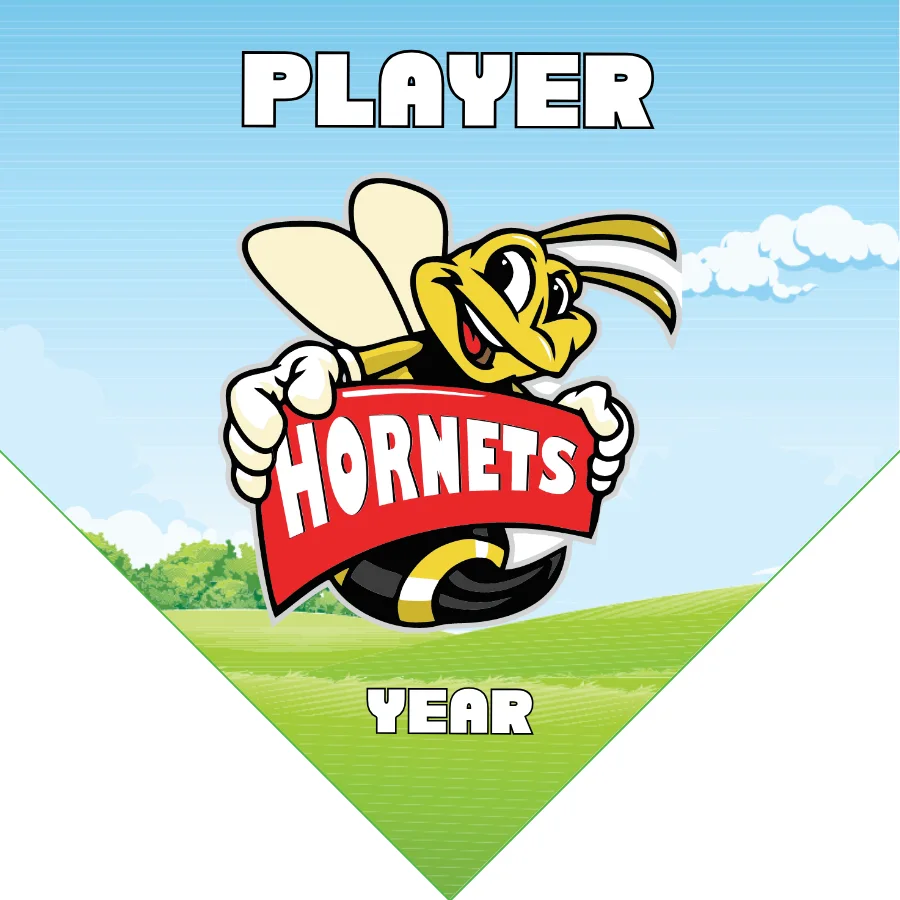 Hornets Soccer Banner-soccer-banner-with-stand-picture