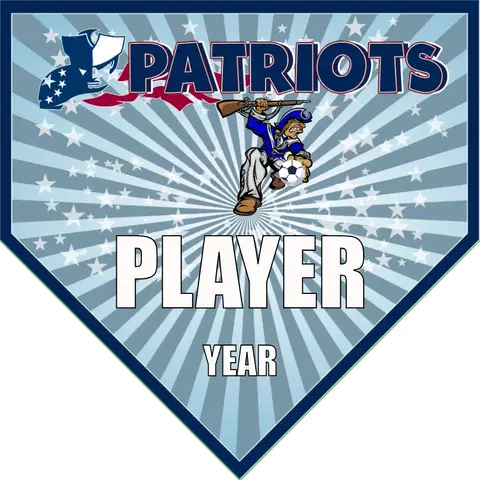Patriots 2 Soccer Banner-soccer-banner-flags-picture