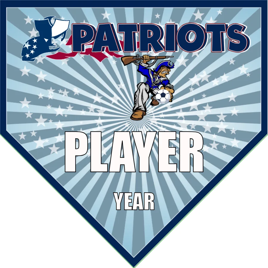 Patriots 2 Soccer Banner-soccer-banner-flags-picture