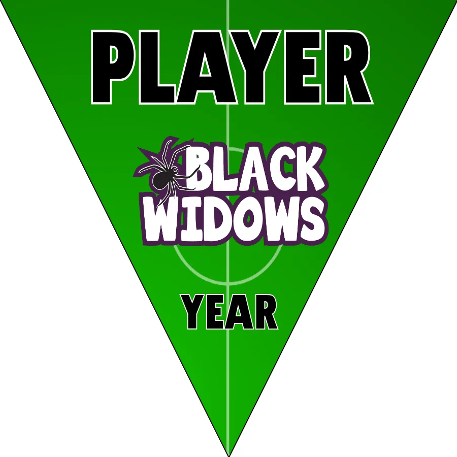 BlackWidows Soccer Banner-german-soccer-banner-picture