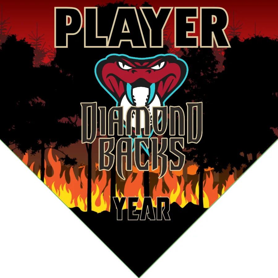 Arizona Diamondbacks 2 Baseball Banner-baseball-banner-photos-images