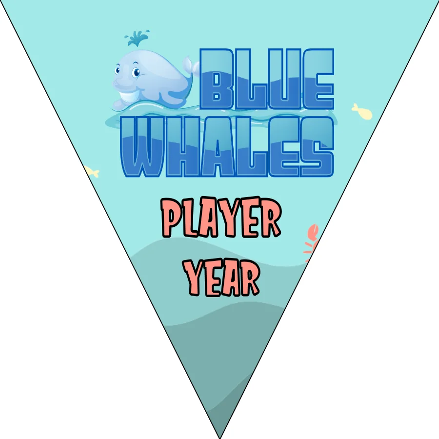 Whales Blue Soccer Banner,-soccer-party-banner-picture