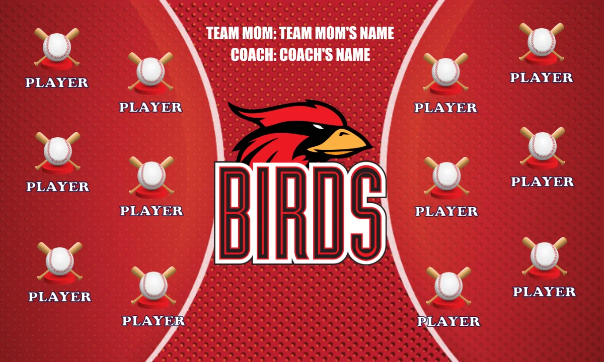 Birds Softball Banner