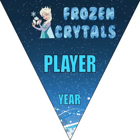 Frozen Crystals Soccer Banner-soccer-banners-picture