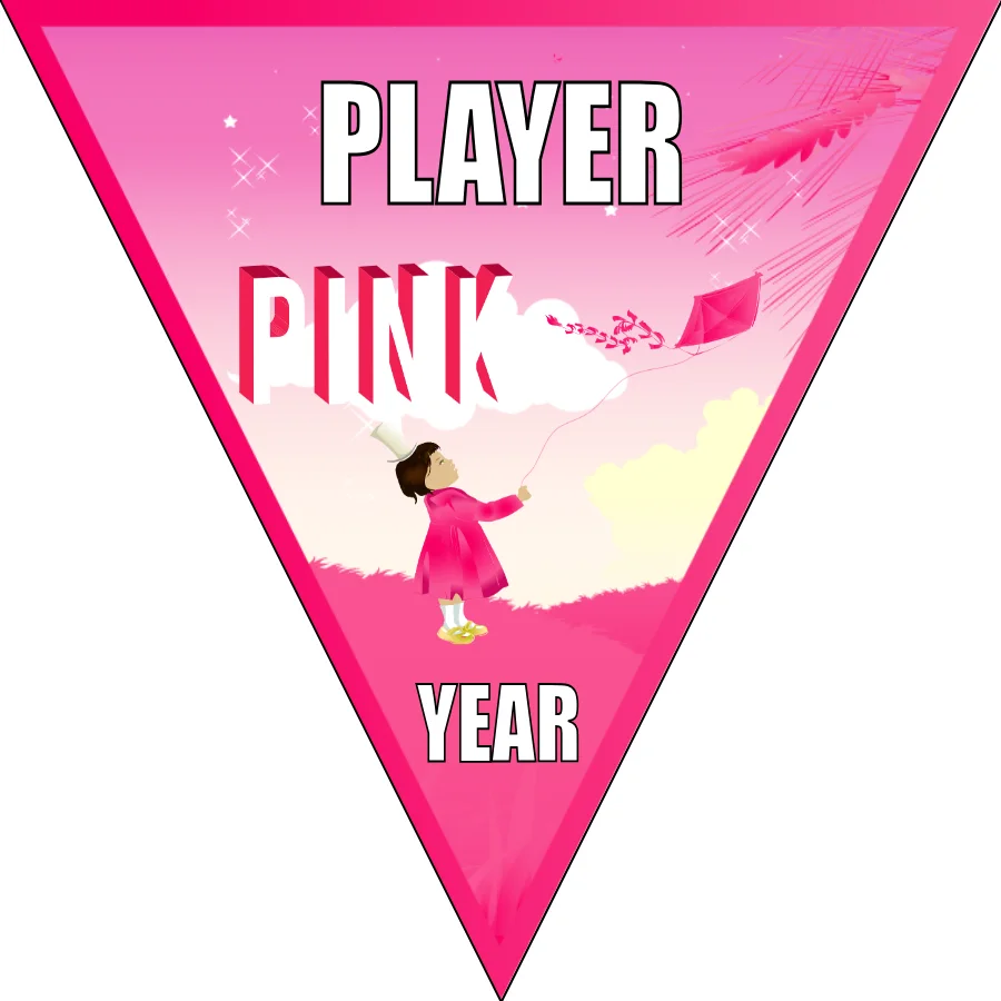Pink 3 Soccer Banner-soccer-banner-frame-picture