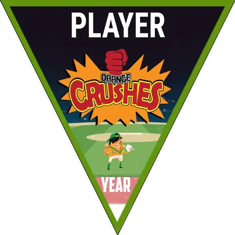 Orange Crush 2 Softball Banner-softball-banner-quotes-images