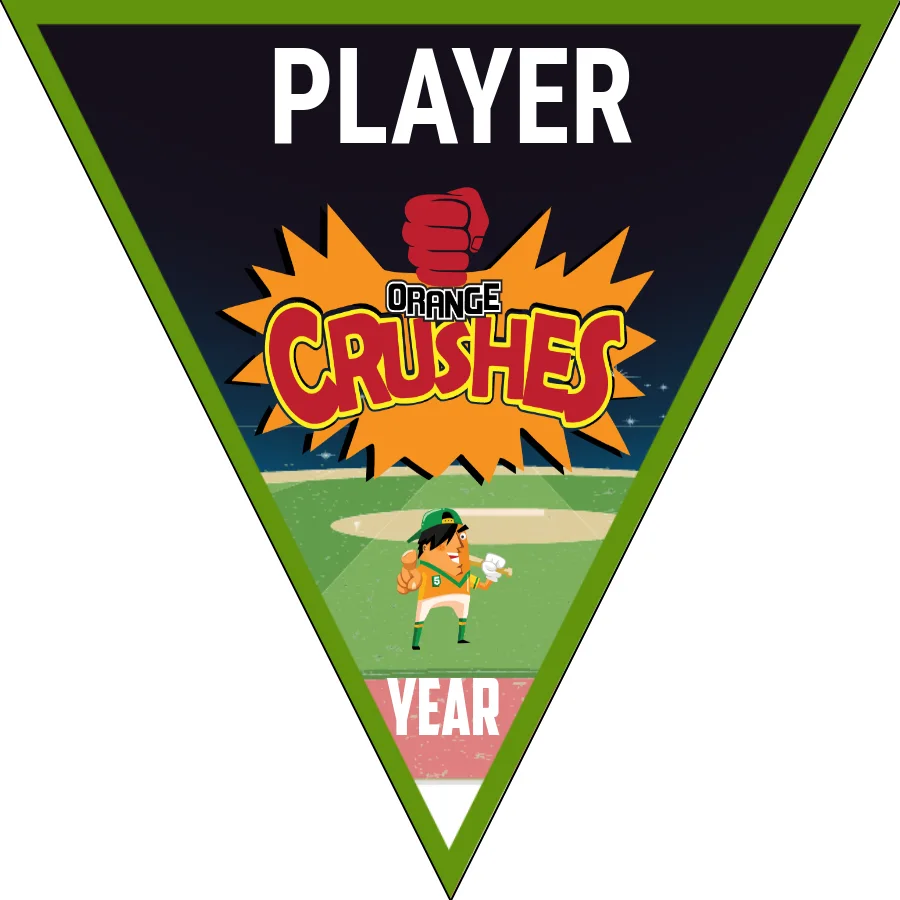 Orange Crush 2 Softball Banner-softball-banner-quotes-images