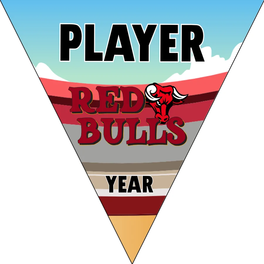 Bulls Red Soccer Banner-soccer-team-banner-size-picture