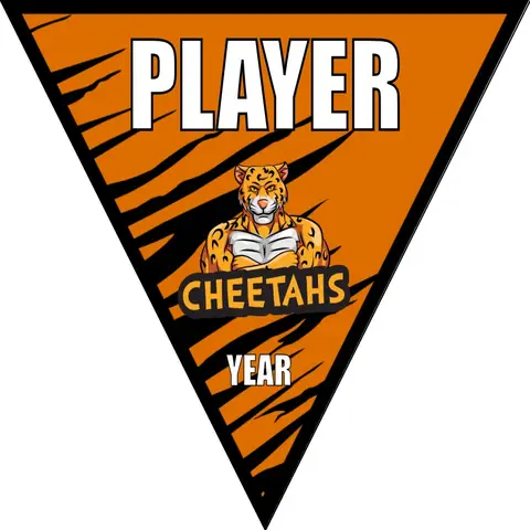 Cheetahs 3 Soccer Banner-bakersfield-soccer-banner-picture