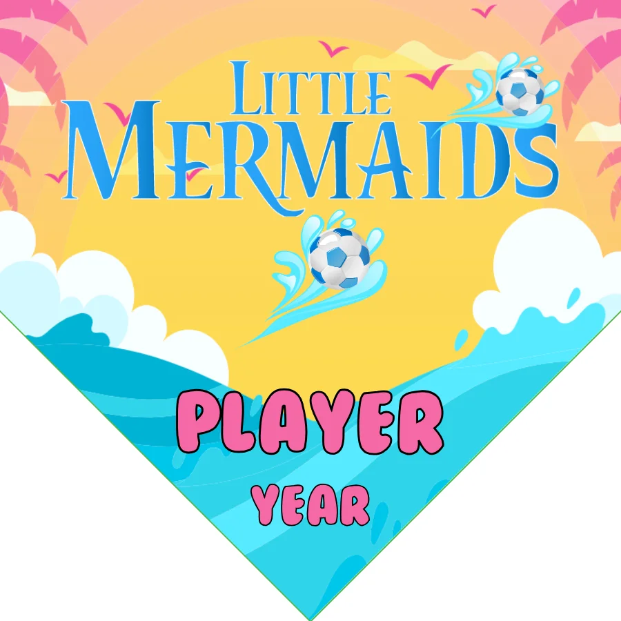 Little Mermaids Soccer Banner-soccer-banners-and-flags-picture
