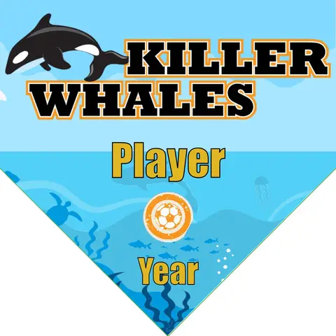 Whales Killer Soccer Banner-soccer-banner-size-picture