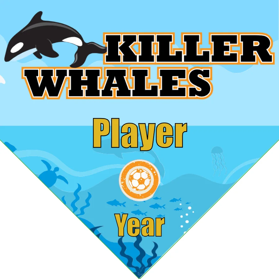 Whales Killer Soccer Banner-soccer-banner-size-picture