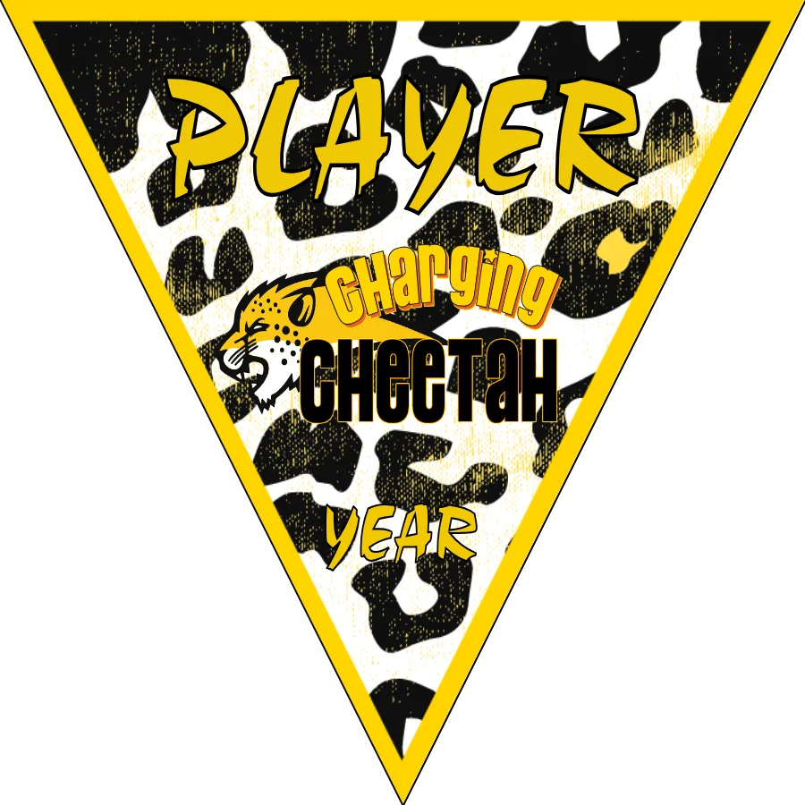Cheetah Char Soccer Banner-belgian-soccer-banner-picture