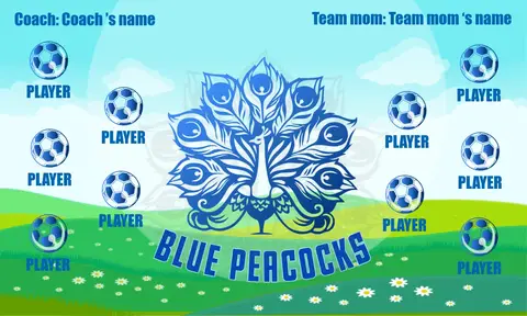 Blue Peacocks Soccer Banner-soccer-birthday-banner-picture