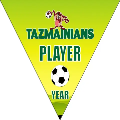 Tazmainians Soccer Banner-soccer-team-banners-picture