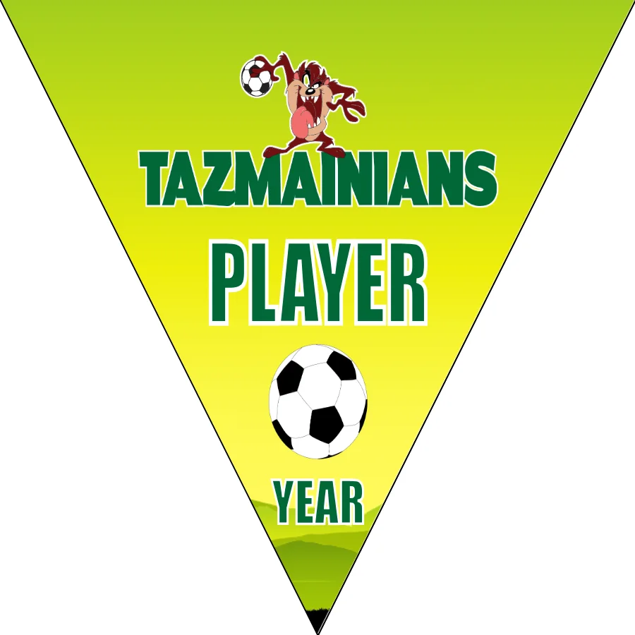 Tazmainians Soccer Banner-soccer-team-banners-picture