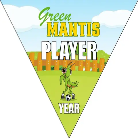 Green Mantis Soccer Banner-soccer-banner-flags-picture