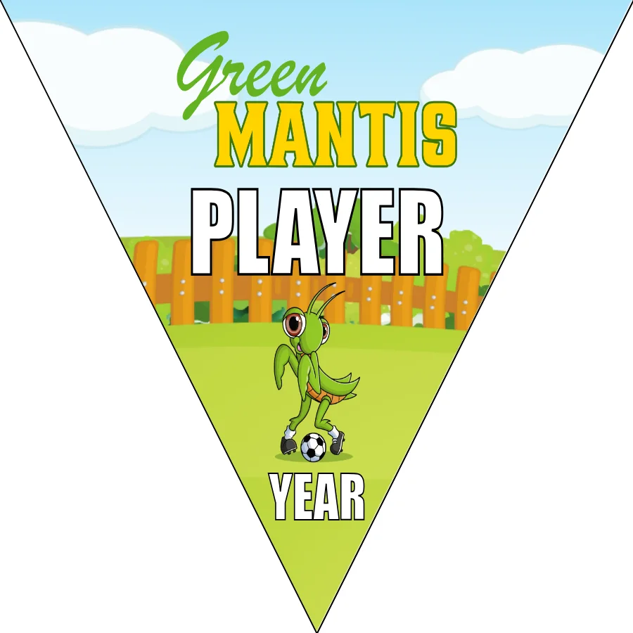 Green Mantis Soccer Banner-soccer-banner-flags-picture