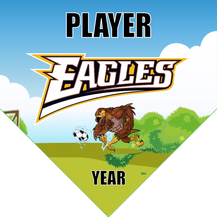 Eagles Soccer Banner-reddit-soccer-banners-picture