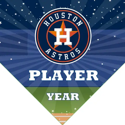 Houston 2 Baseball Banner-how-much-does-a-baseball-banner-cost-images