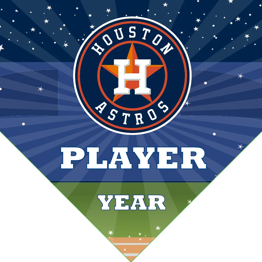 Houston 2 Baseball Banner-how-much-does-a-baseball-banner-cost-images