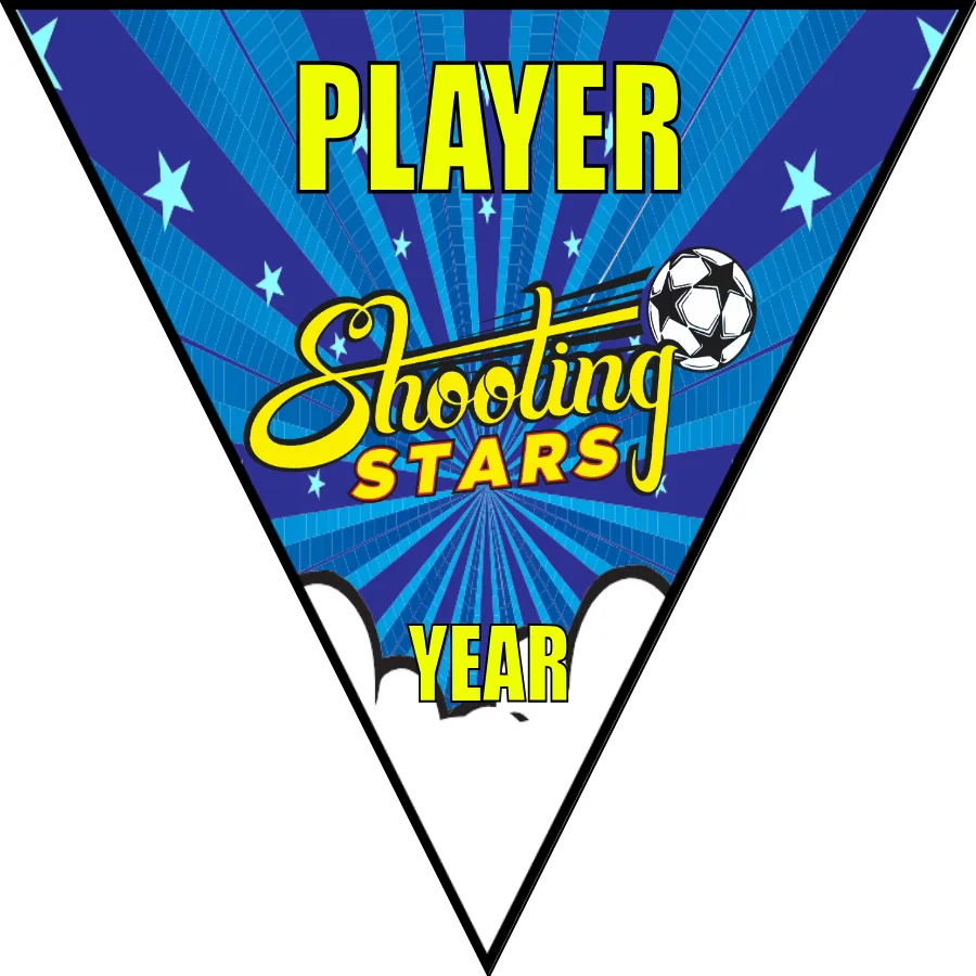 Shooting Stars Soccer Banner-homemade-soccer-banner-ideas-picture