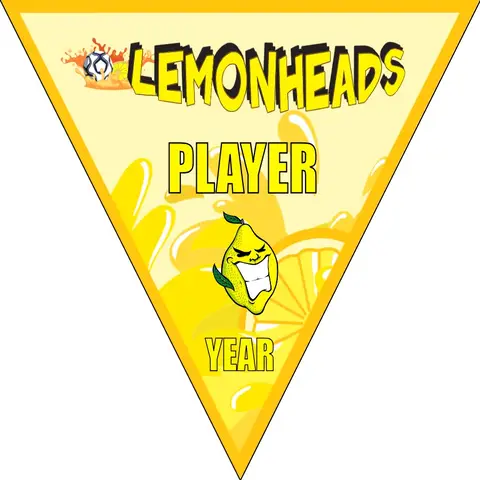 Lemonheads Soccer Banner-soccer-team-banner-ideas-picture