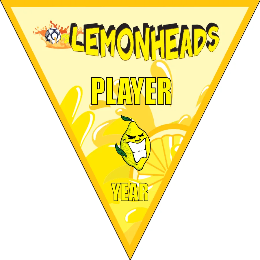 Lemonheads Soccer Banner-soccer-team-banner-ideas-picture