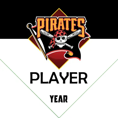 Pirates Baseball Banner-it's-a-boy-baseball-banner-images