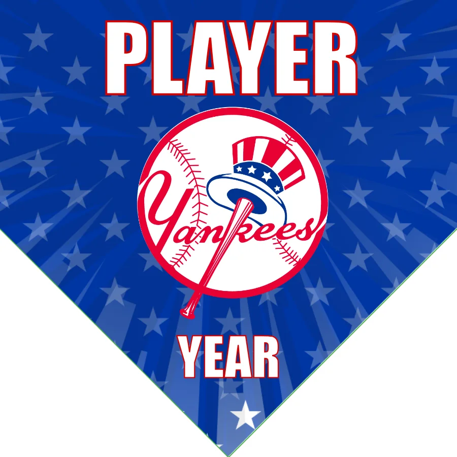 New York Yankees 2 Baseball Banner-baseball-banner-for-baby-shower-images