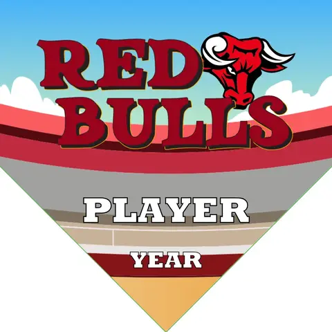 Bulls Red Soccer Banner-diamonds-soccer-banner-picture