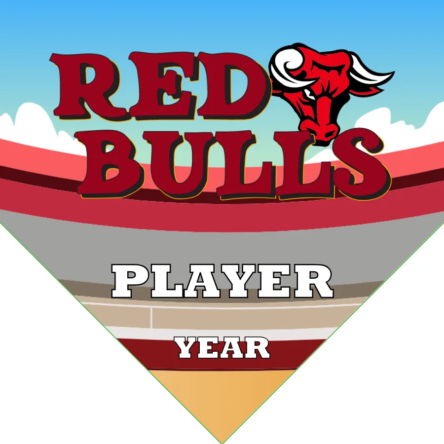 Bulls Red Soccer Banner-diamonds-soccer-banner-picture