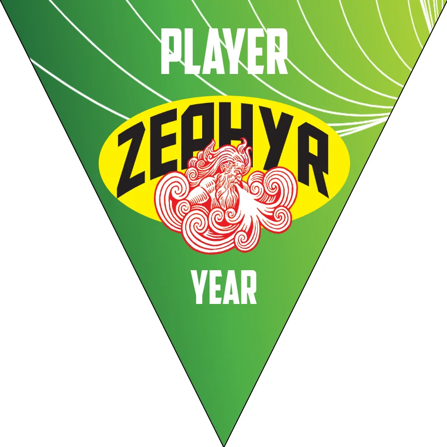 Zephyr Soccer Banner,-soccer-team-banner-ideas-picture