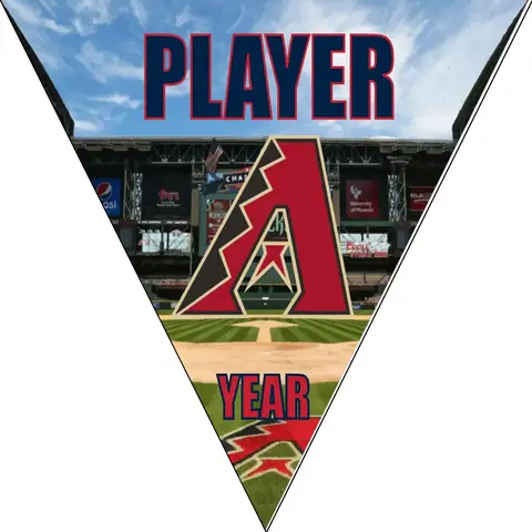 Arizona 1 Baseball Banner