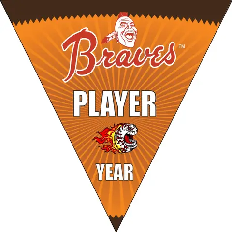 Braves 4 Baseball Banner-it's-a-boy-baseball-banner-images